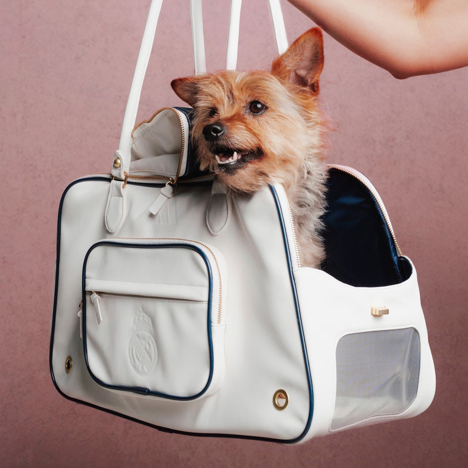 Bolsa Transporte para Perros adidas 26/27