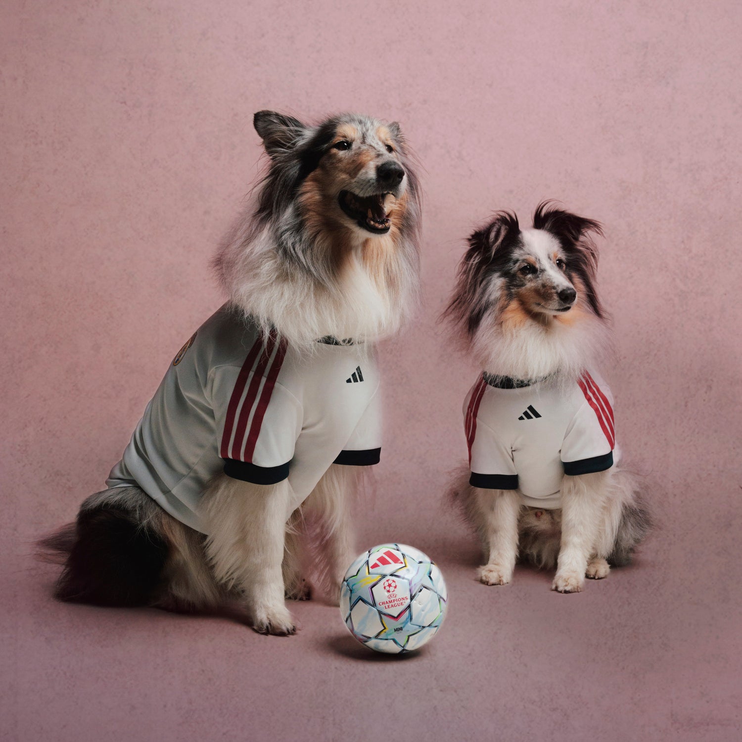 adidas Pet Jersey 26/27