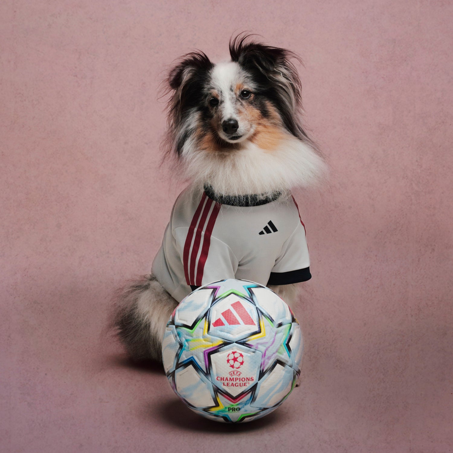 adidas Pet Jersey 26/27