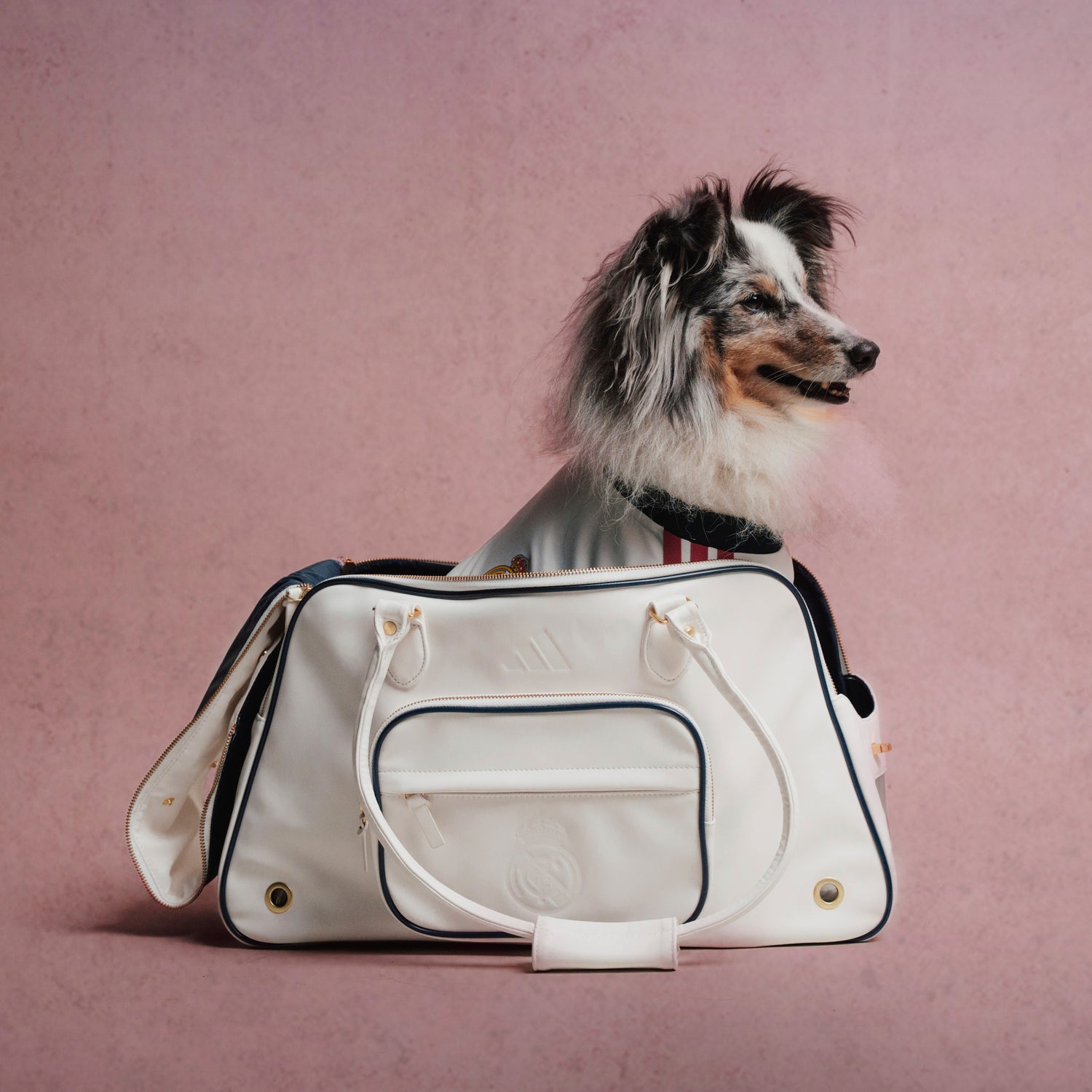 Bolsa Transporte para Perros adidas 26/27