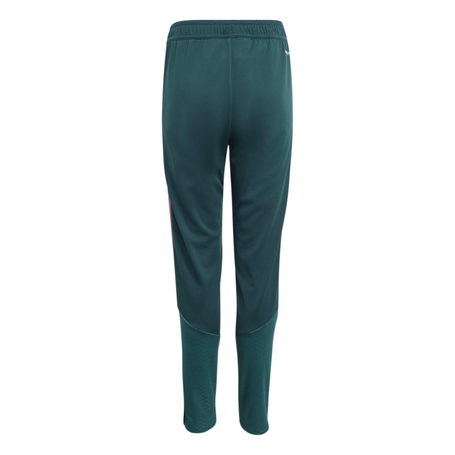 Youth adidas Training Pants 26/27 Green