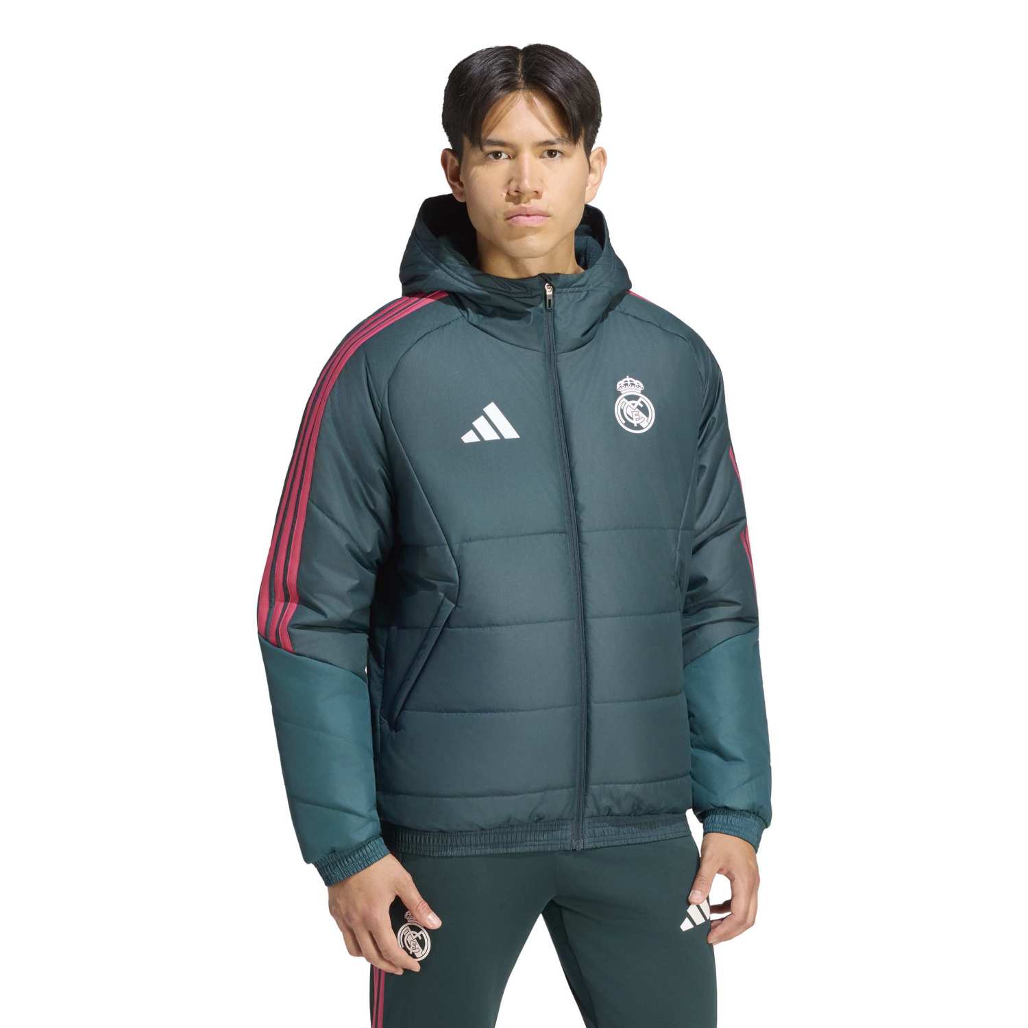 Veste d'Entraînement Hiver Homme adidas 26/27 Vert