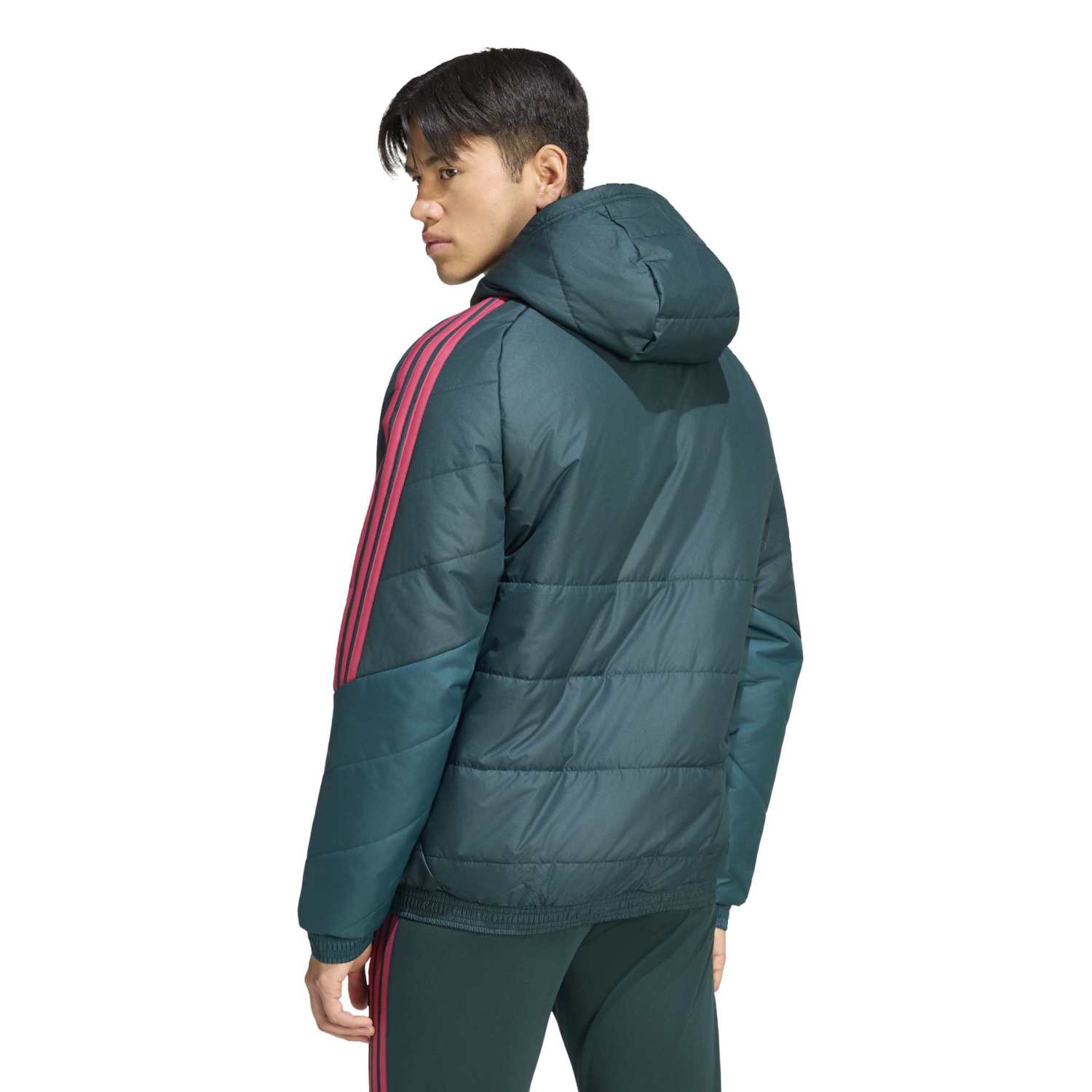 Veste d'Entraînement Hiver Homme adidas 26/27 Vert