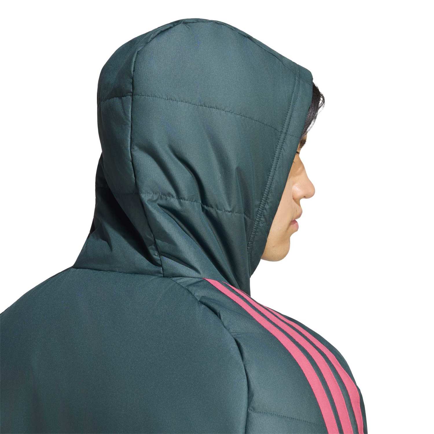 Veste d'Entraînement Hiver Homme adidas 26/27 Vert