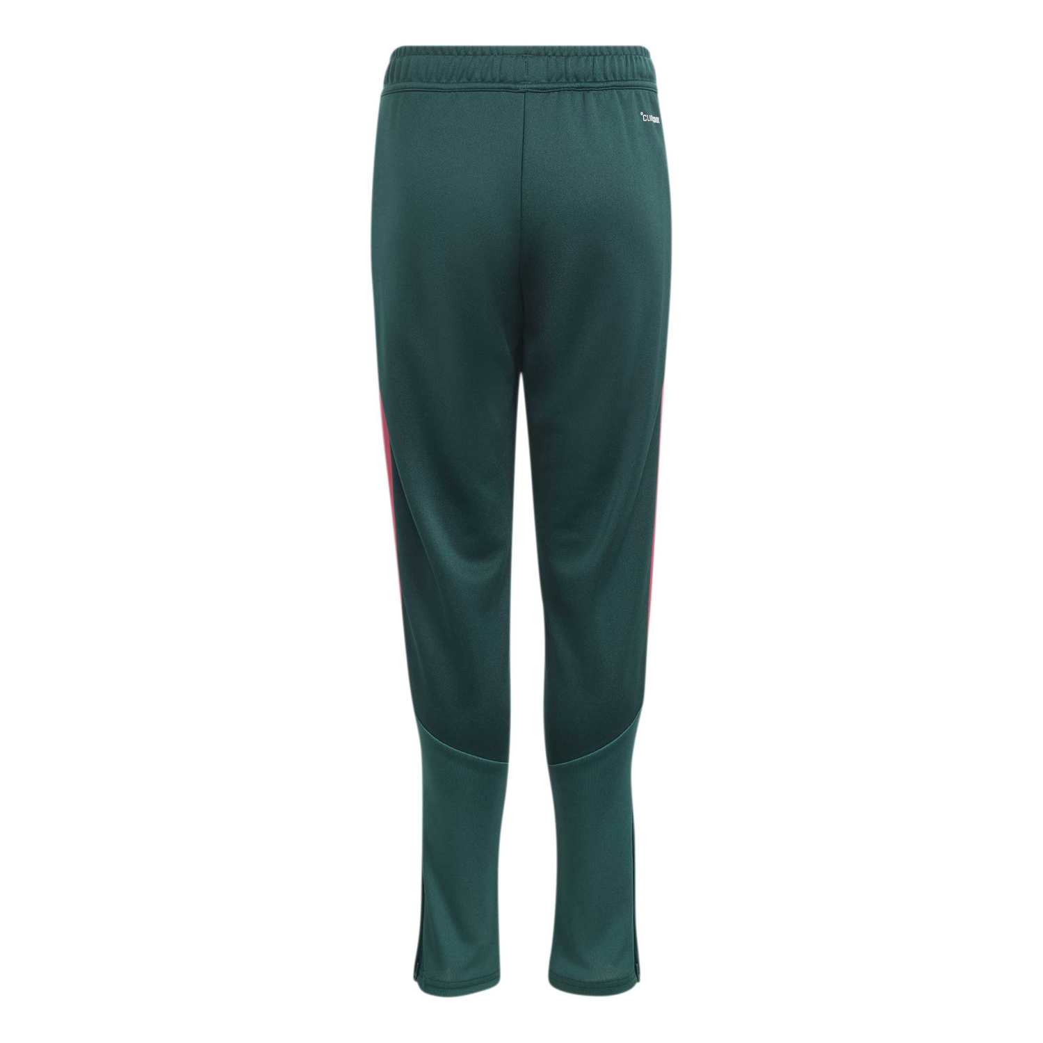 Chándal Niño adidas Entrenamiento 26/27 Verde