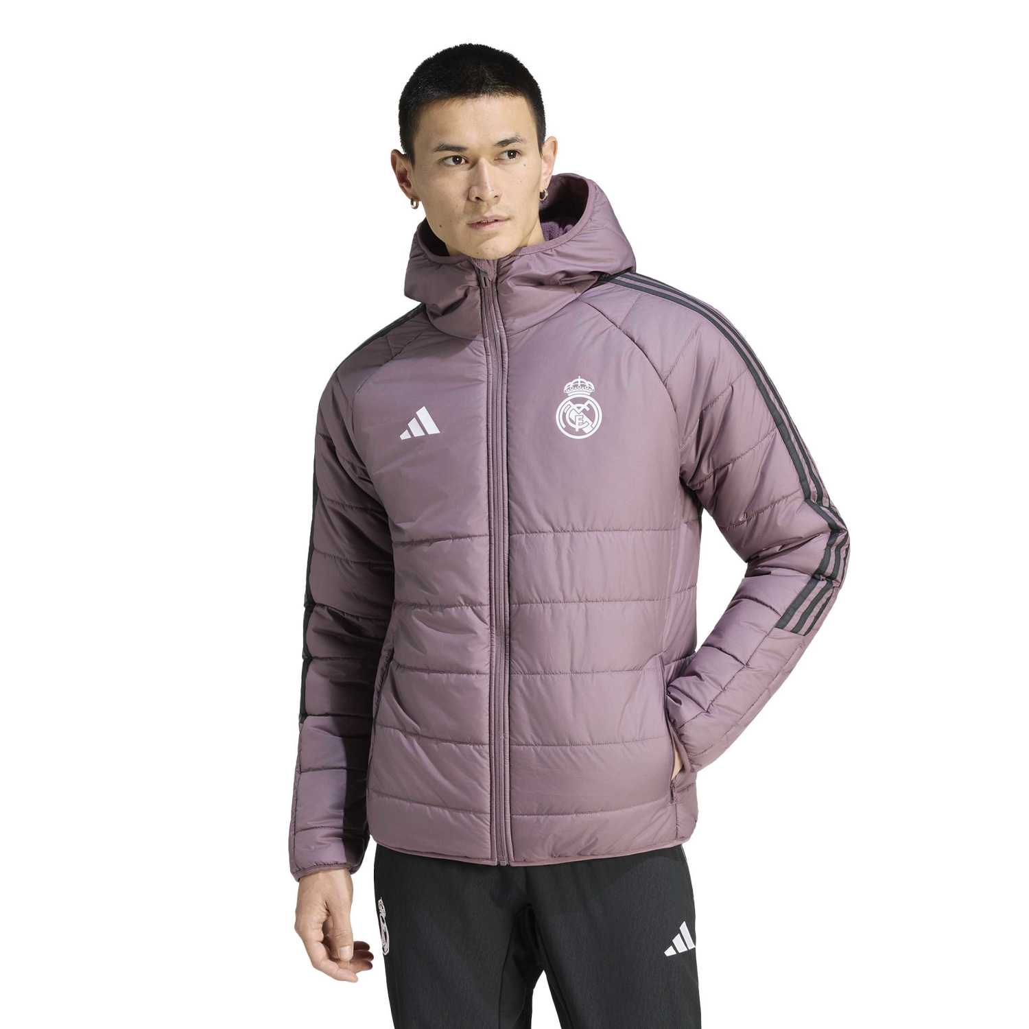 Mens adidas Training Winter Jacket 25/26 Purple – Official Real