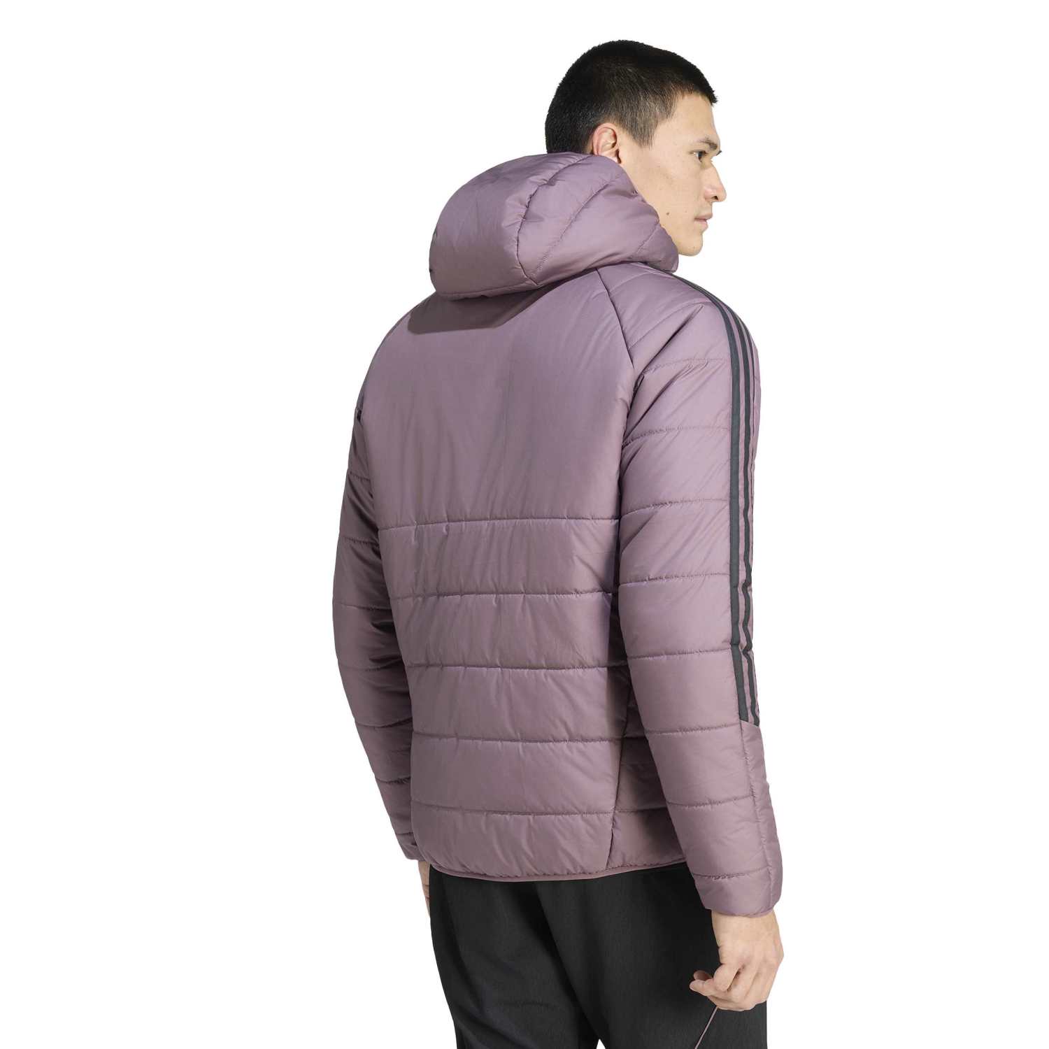 Mens adidas Training Winter Jacket 25/26 Purple