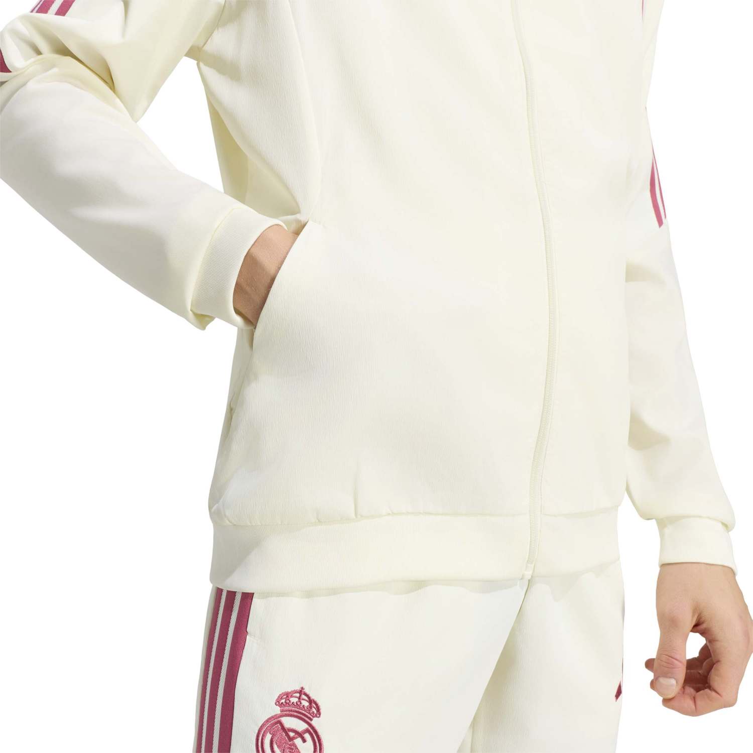 Chaqueta Chándal Hombre adidas Entrenamiento 26/27 Beige