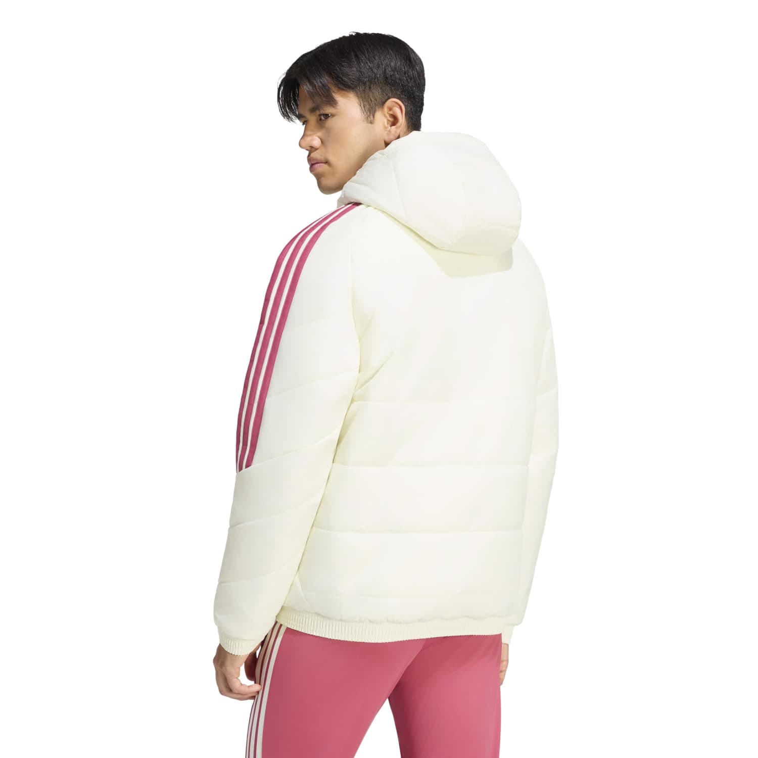 Chaqueta Invierno Hombre adidas Entrenamiento 26/27 Beige