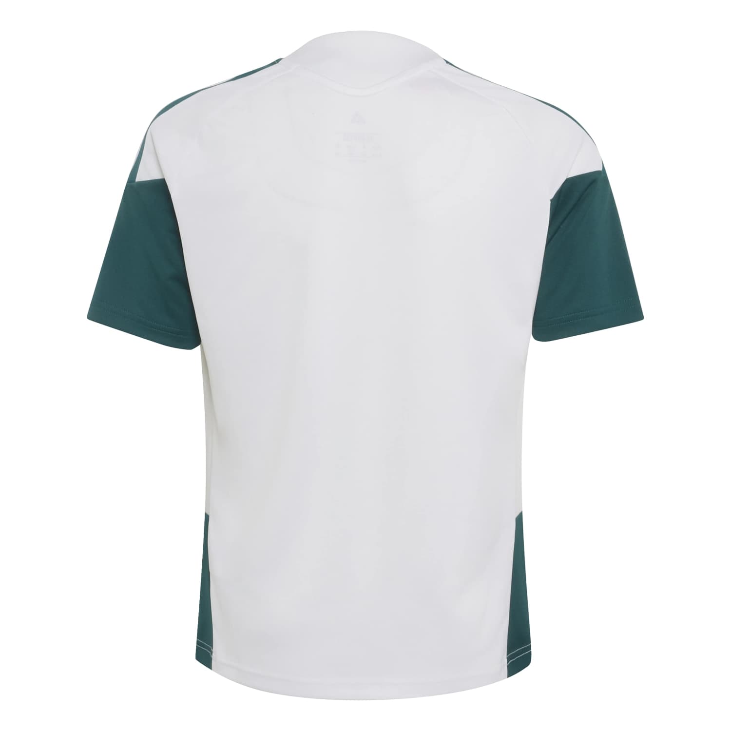 Youth UCL Training Shirt 26/27 White