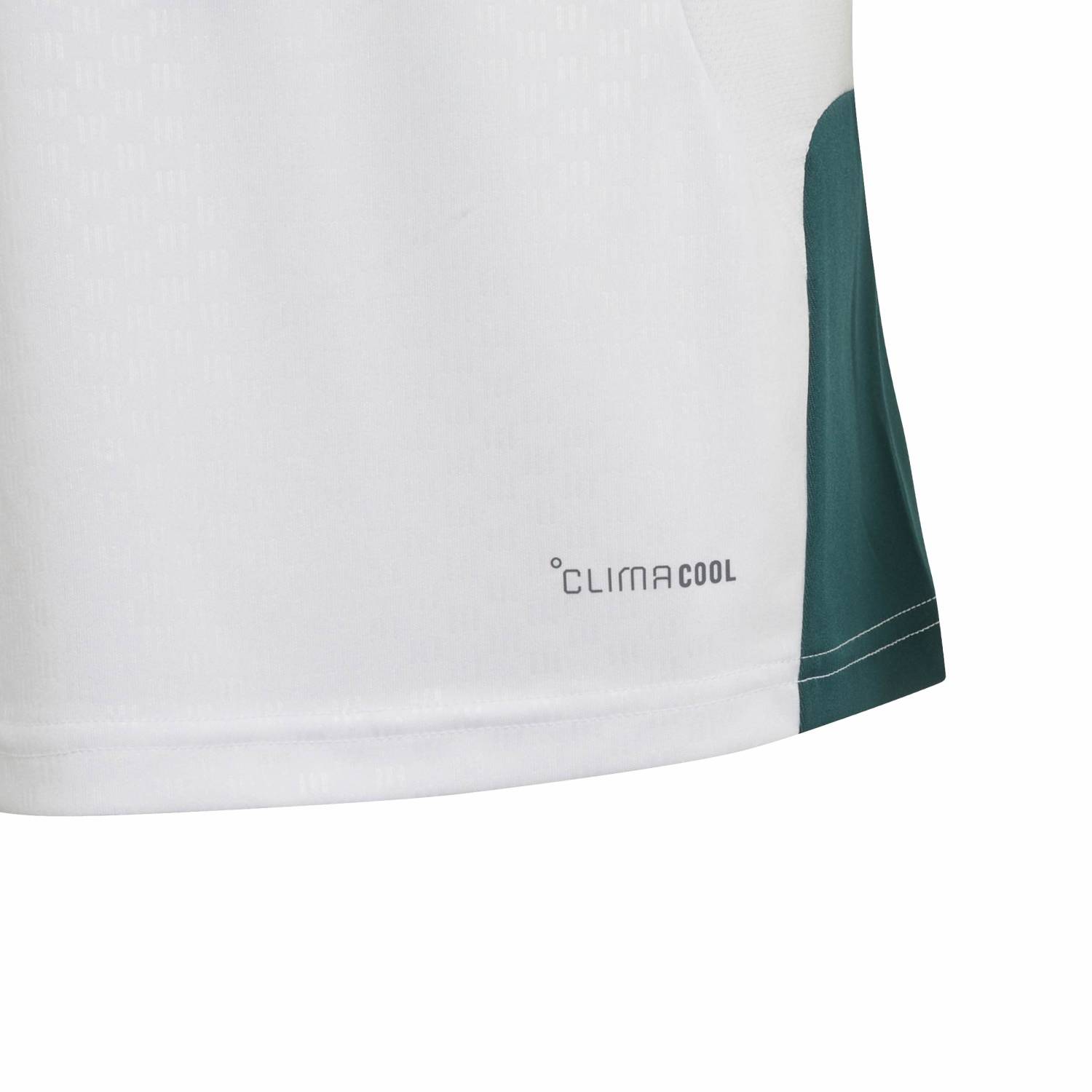 Youth UCL Training Shirt 26/27 White