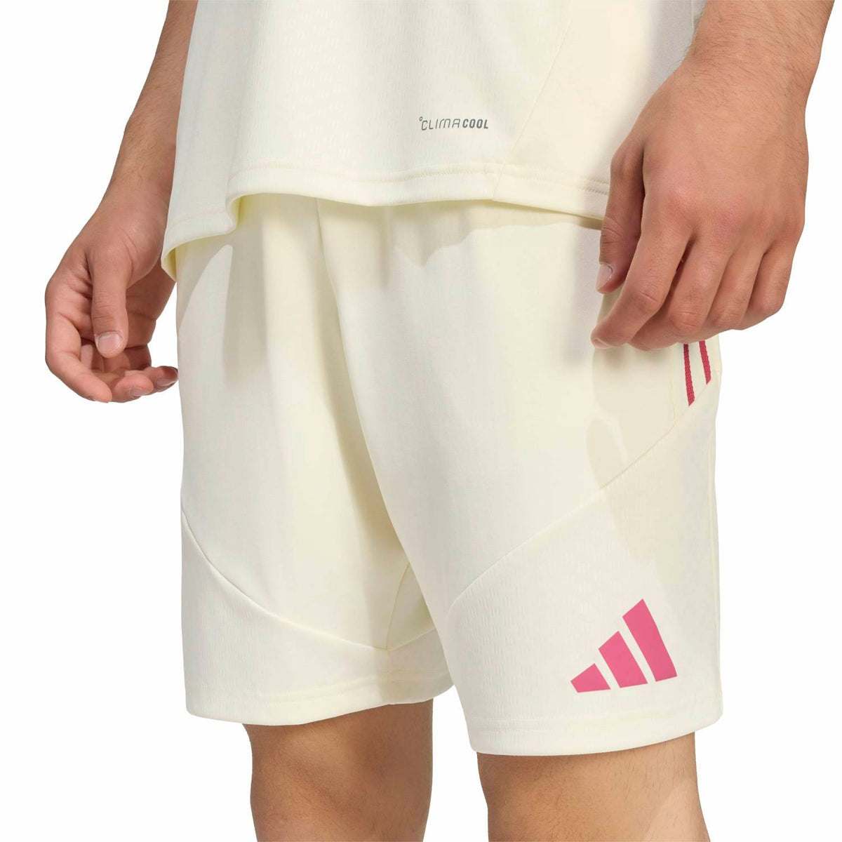 Mens adidas Training Shorts 26/27 Beige