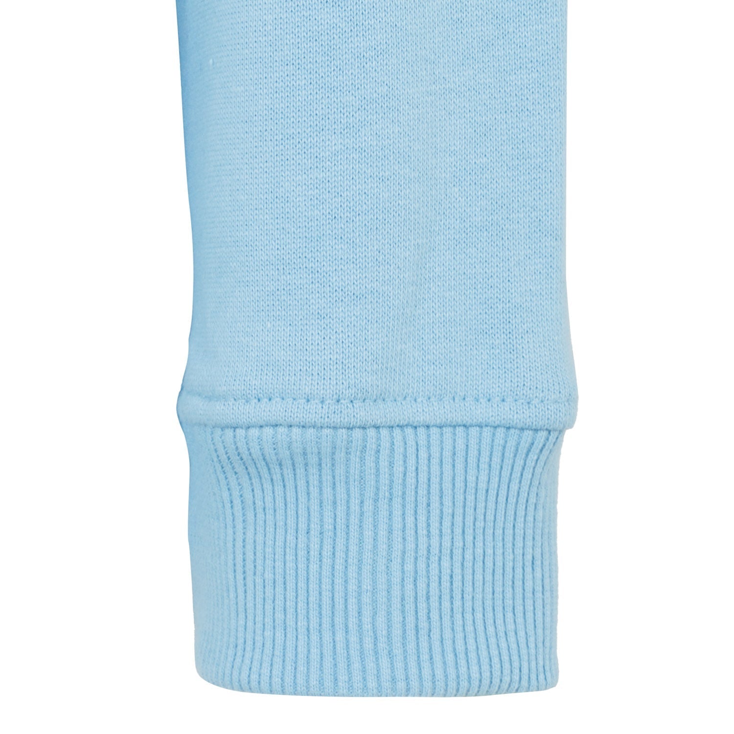 Kids Essentials Color Crest Hoody Light Blue