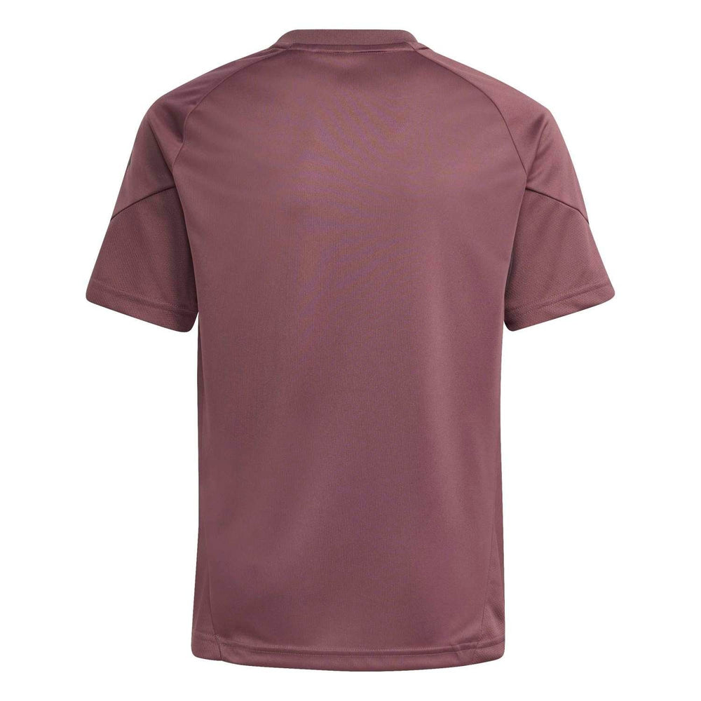 Youth adidas Training Shirt 25/26 Purple