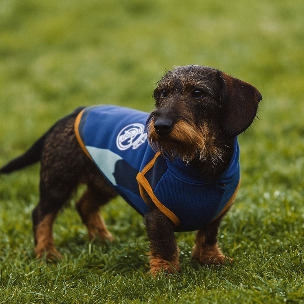 Dog Polar Fleece Sweater Blue