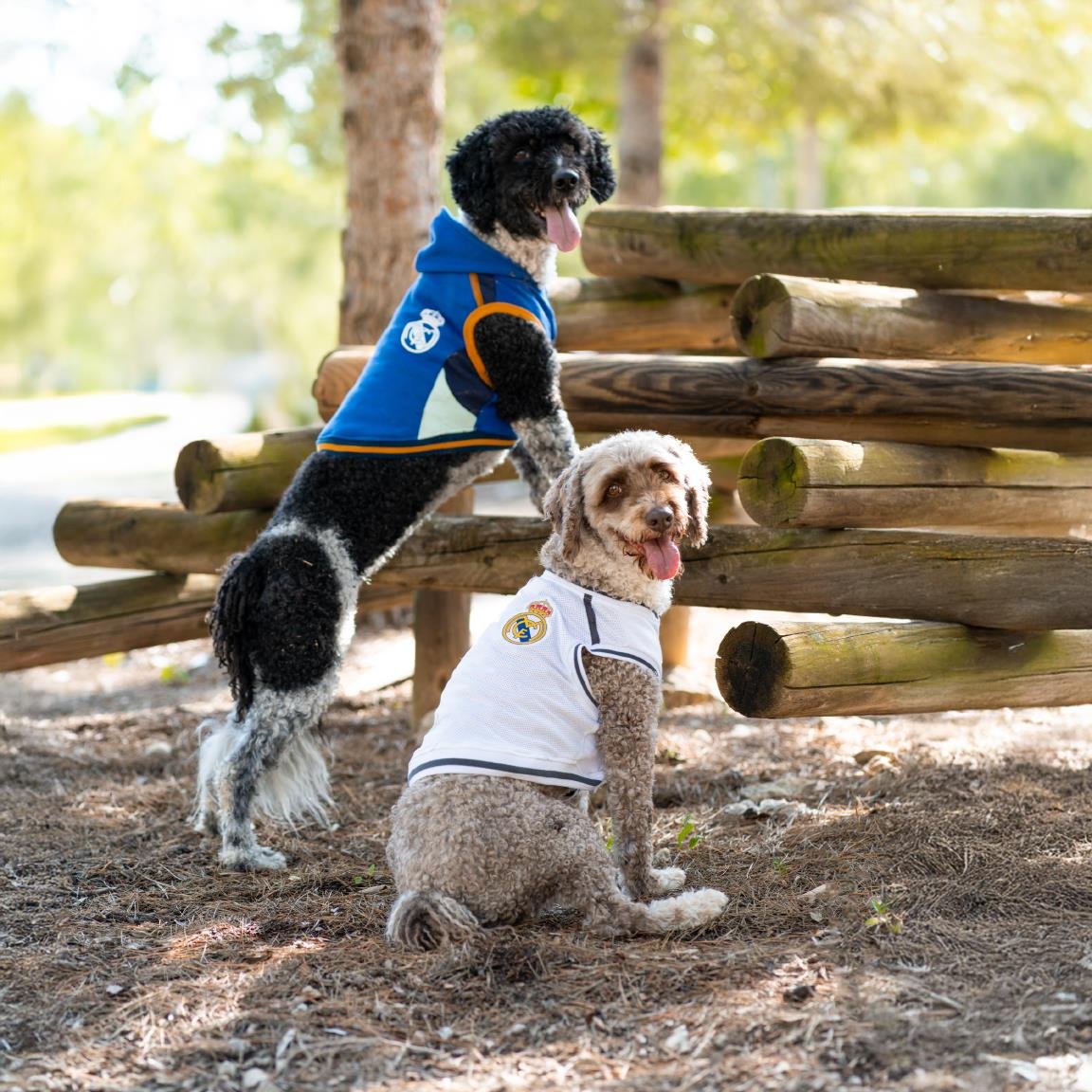 Dog T-Shirt XXS White