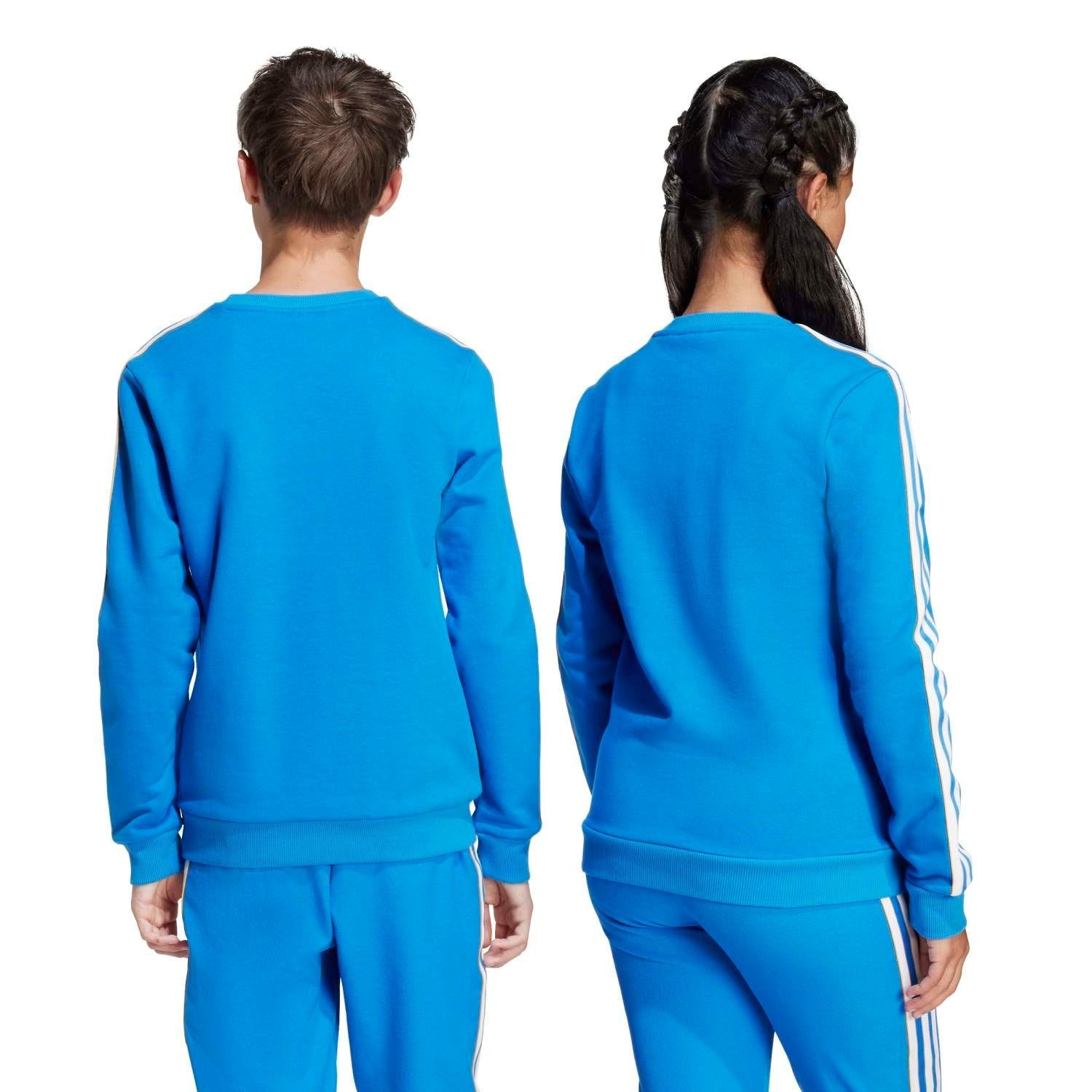 Kids adidas Originals Terrace Icons Sweatshirt 25/26 Blue