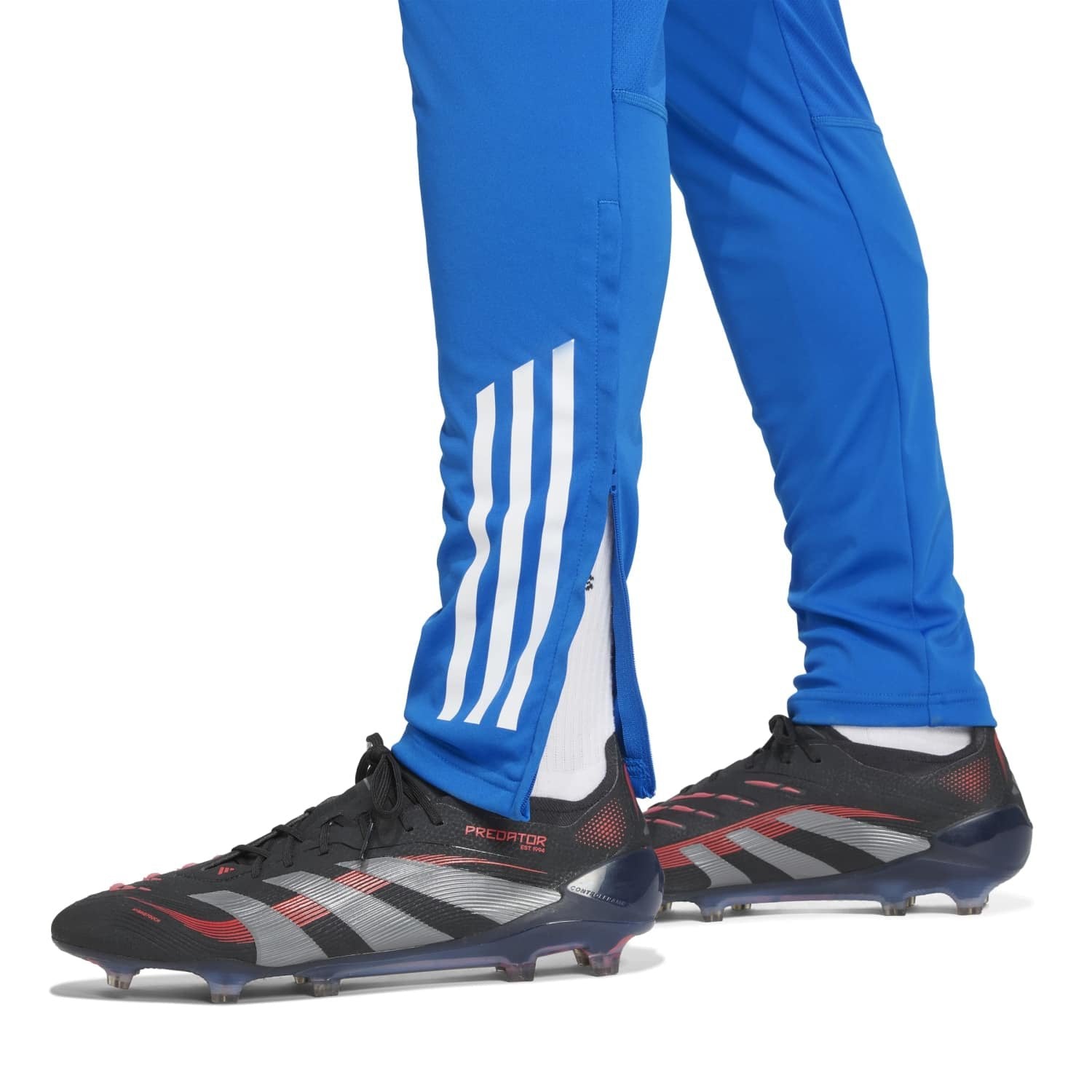 Mens adidas UCL Training Trousers 25/26 Blue